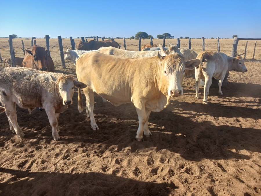  Bedroom Property for Sale in Vryburg Rural North West